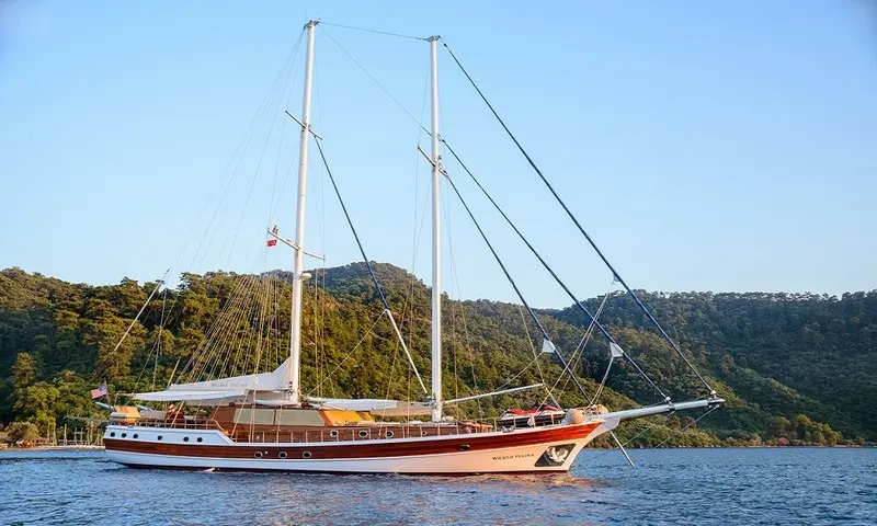 Wicked Felina | 5-Cabin Deluxe Gulet | Bodrum Charter | Booktheboat 